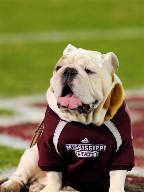 Bully Revealed: The Symbolic Representation of Mississippi State's Bulldog